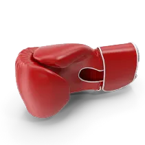 Combates de boxeo